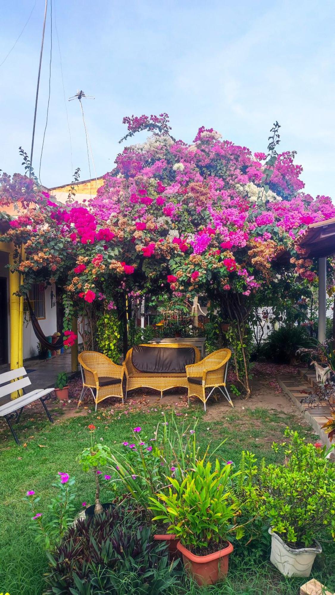 Pousada Solar Encanto Do Marajo صوريه المظهر الخارجي الصورة