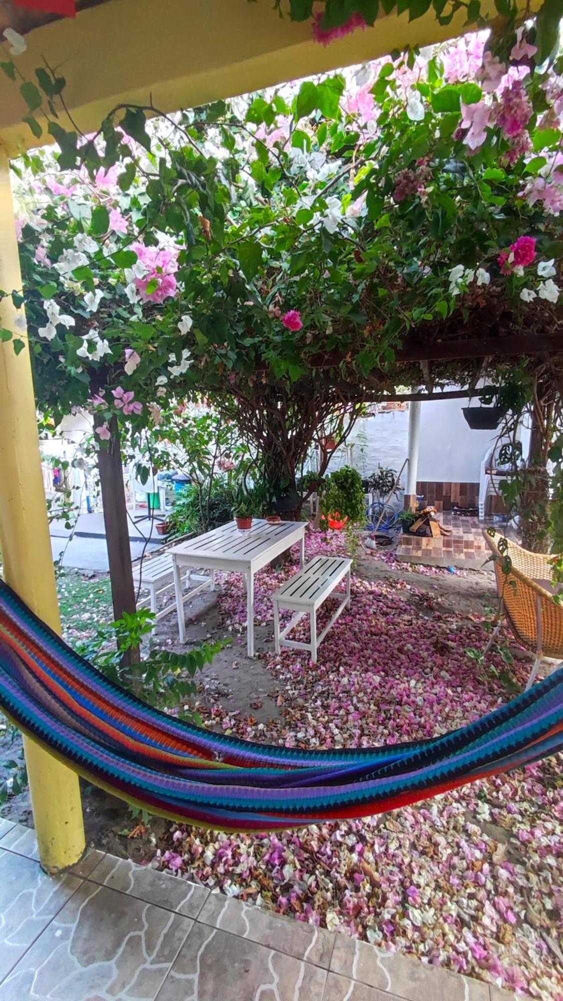 Pousada Solar Encanto Do Marajo صوريه المظهر الخارجي الصورة
